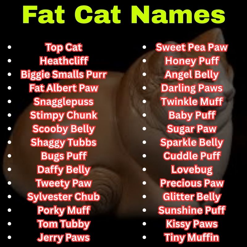 Adorable Fat Cat Names