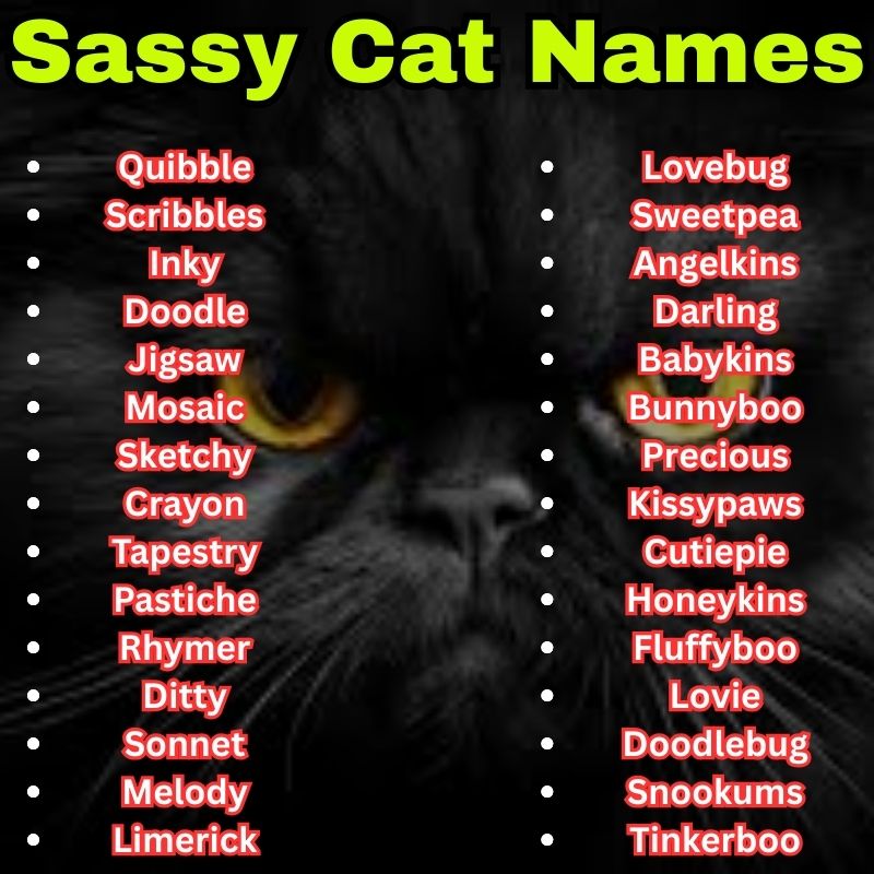 Adorable Sassy Cat Names