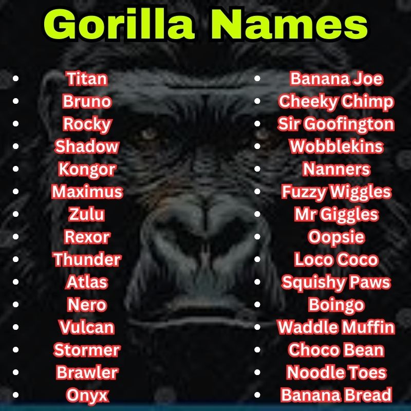 Funny and Best Gorilla Names