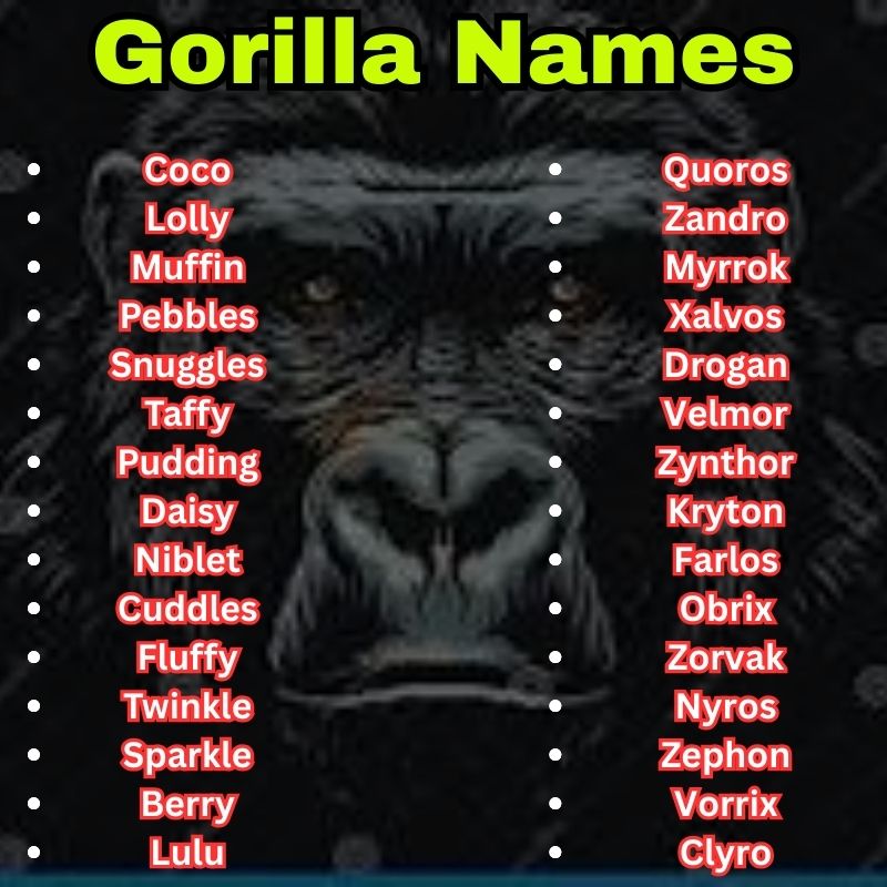 Unique and cute Gorilla Names