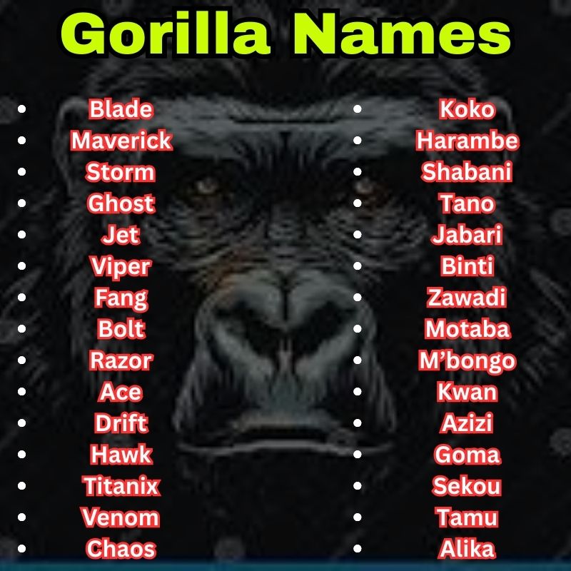 Popular and cool Gorilla Names