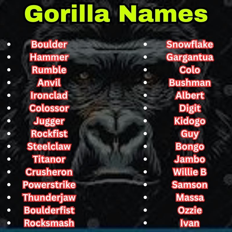 Strong Gorilla Names