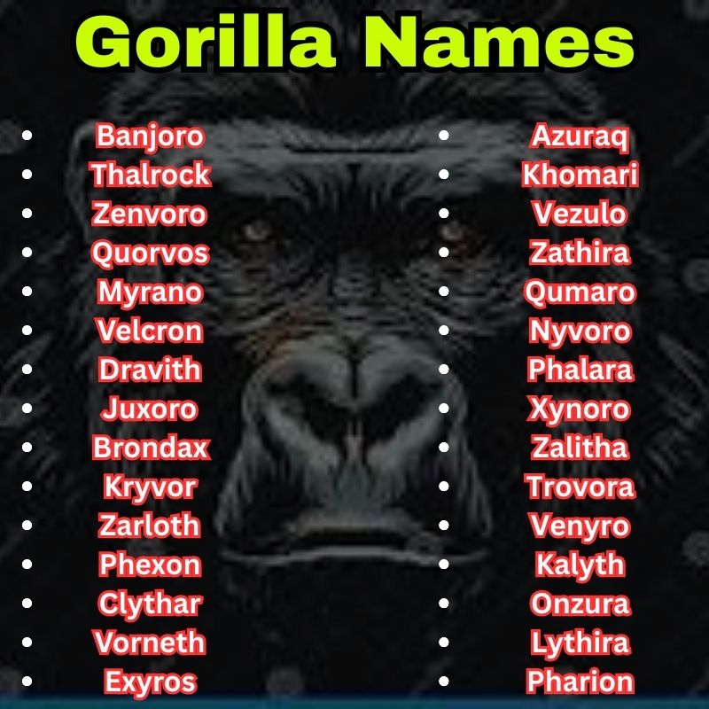Exotic and creative Gorilla Names