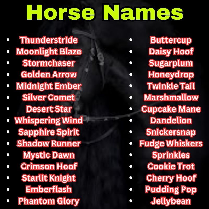 Best and cute Horse Names