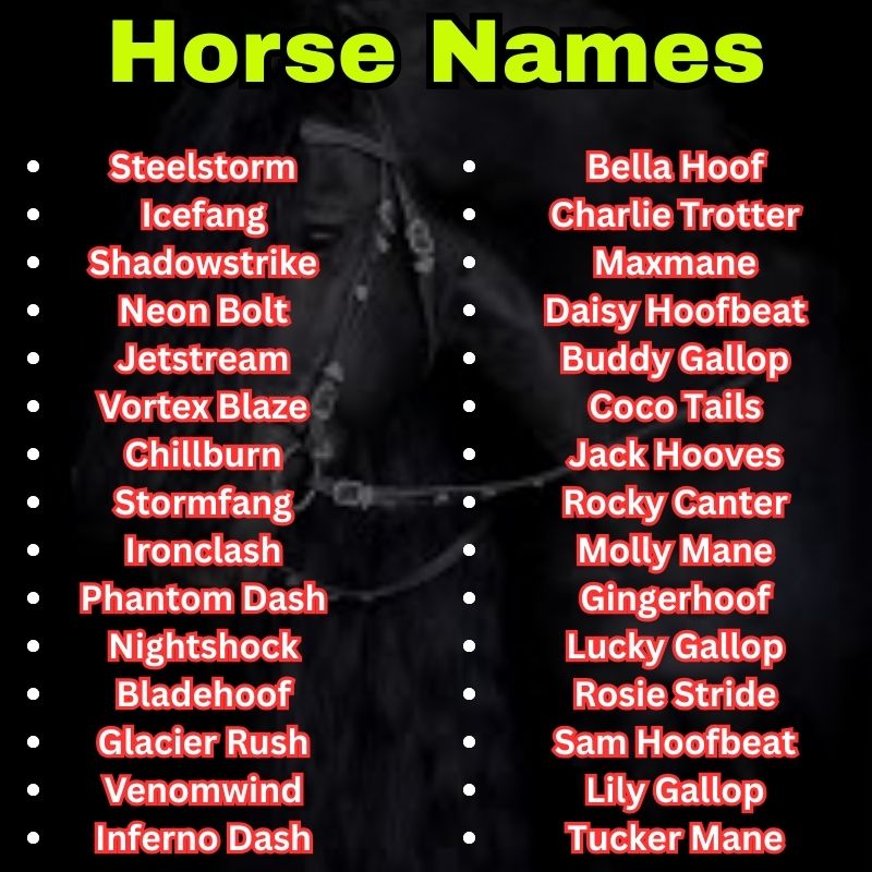 Popular and cool Horse Names