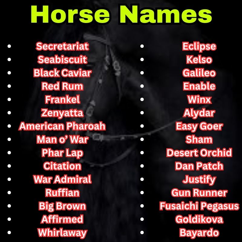 Famous Horse Names