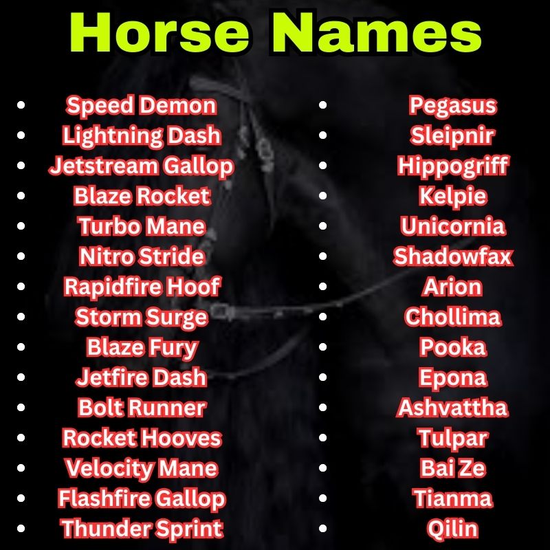 Racehorse and Mythical Horse Names