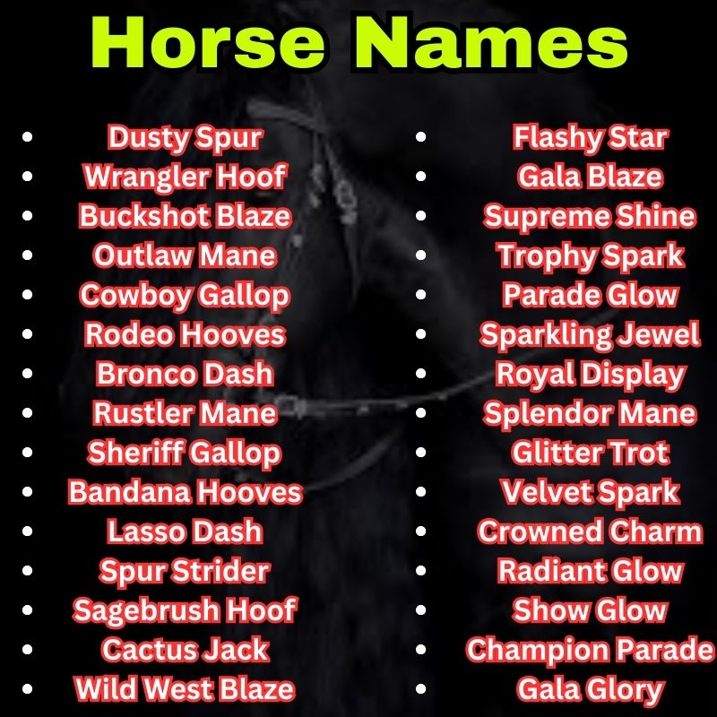 Western and show Horse Names