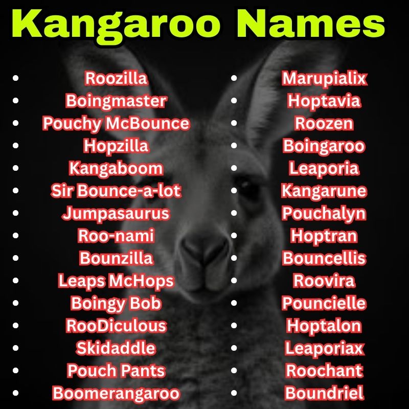 Unique and unique Kangaroo Names