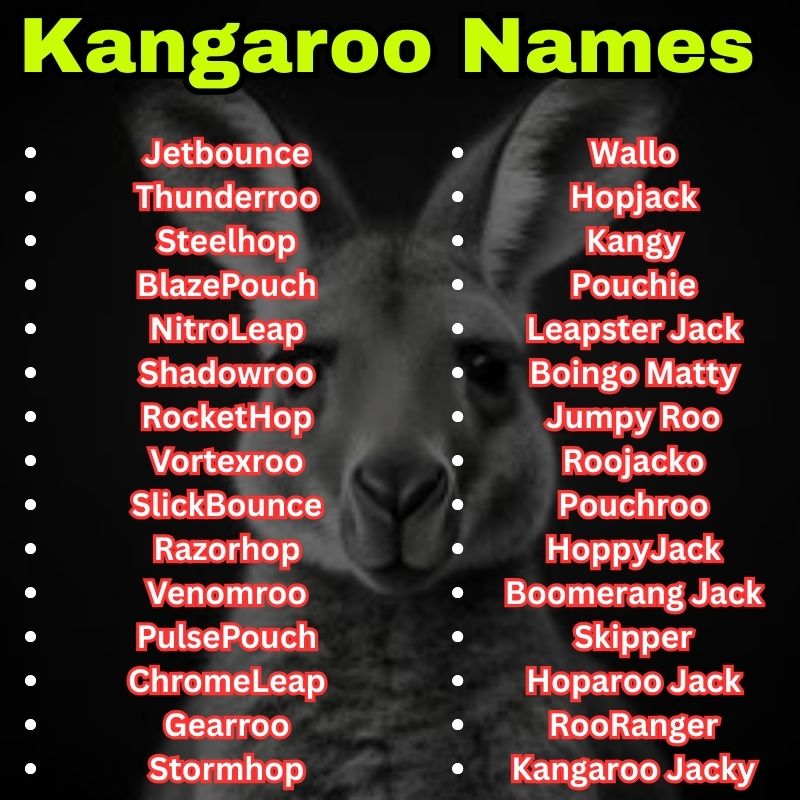 Popular and cool Kangaroo Names