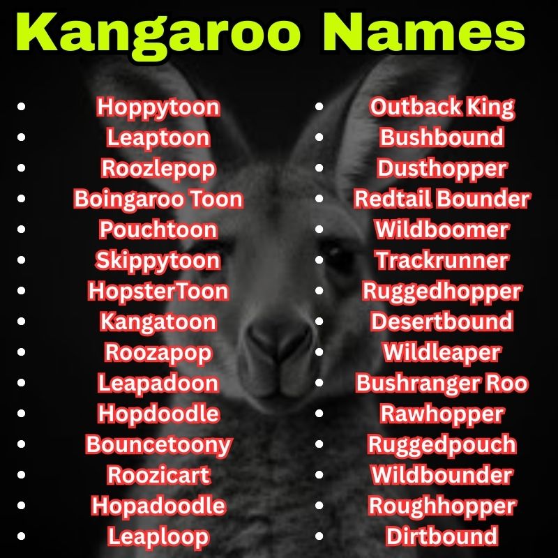 Wild and cartoon Kangaroo Names