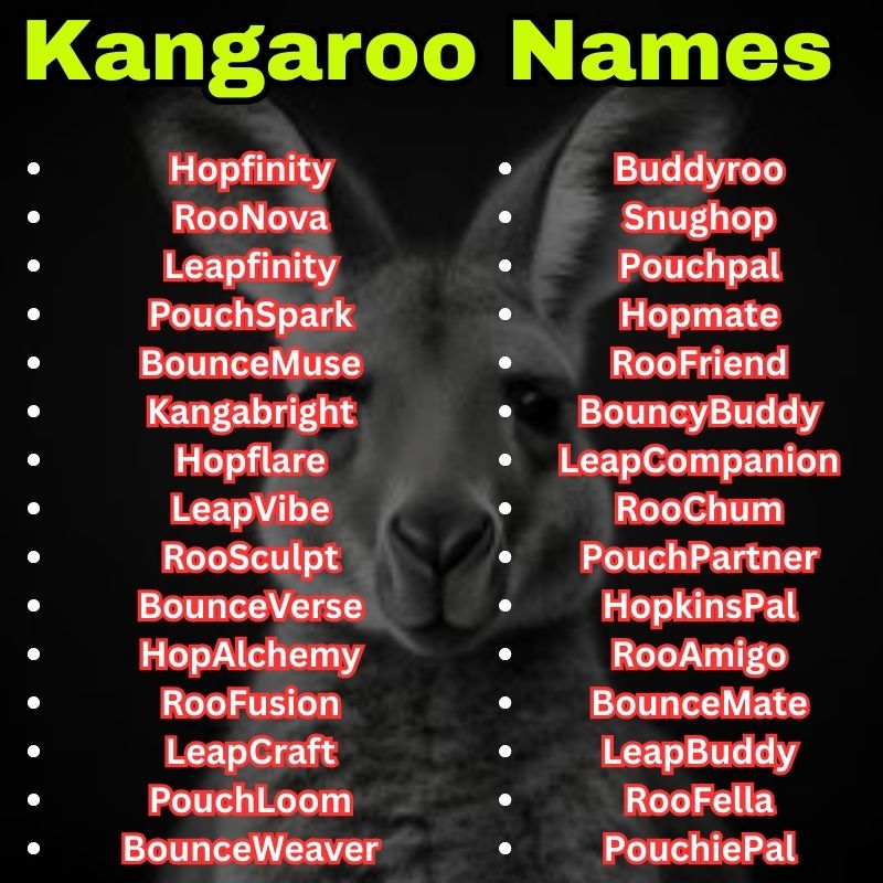 Creative and pet Kangaroo Names