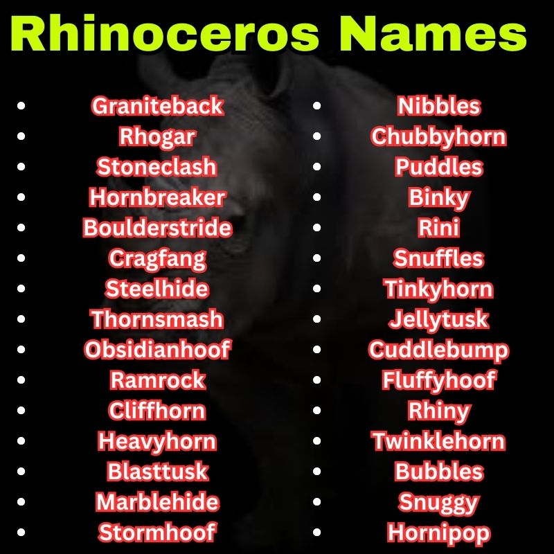 Cute and best Rhinoceros Names