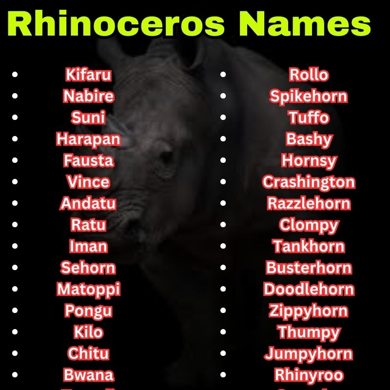 Famous and cartoon Rhinoceros Names
