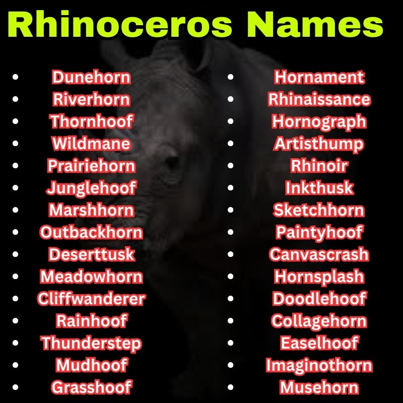 Creative and wild Rhinoceros Names