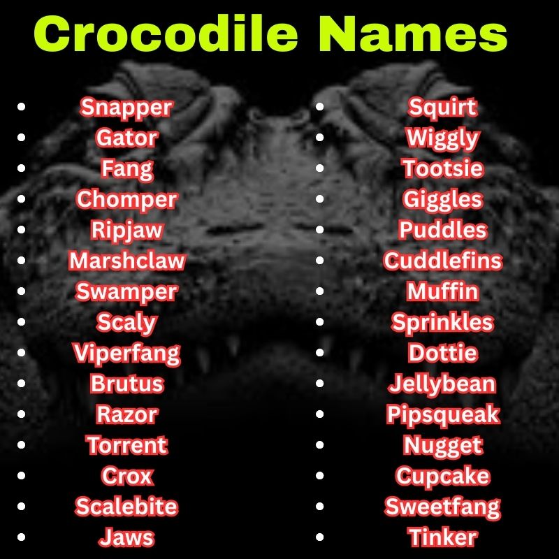 Best and cute Crocodile Names