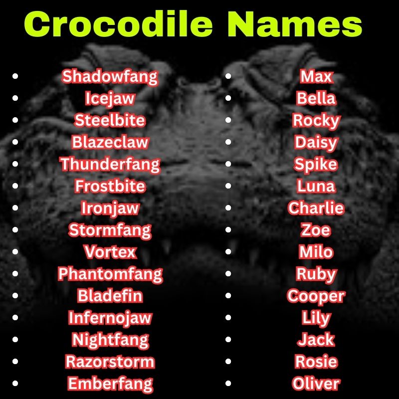 Popular and cool Crocodile Names