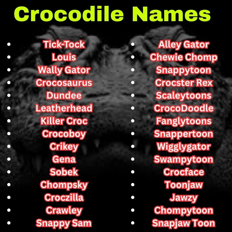 Cartoon and Famous Crocodile Names