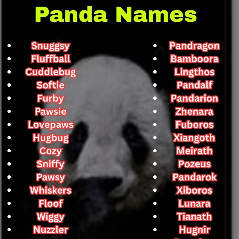 Mythical and Pet Panda Names