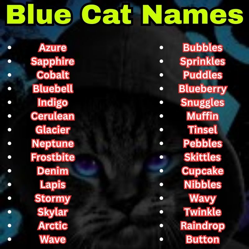 Cute and best Blue Cat Names