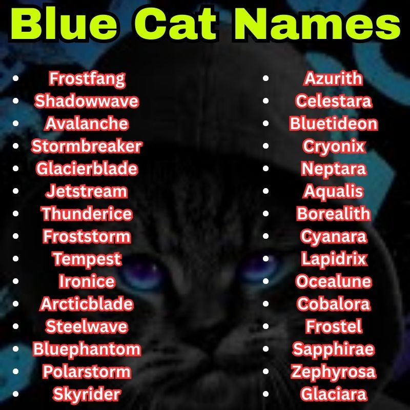 Cool and unique Blue Cat Names