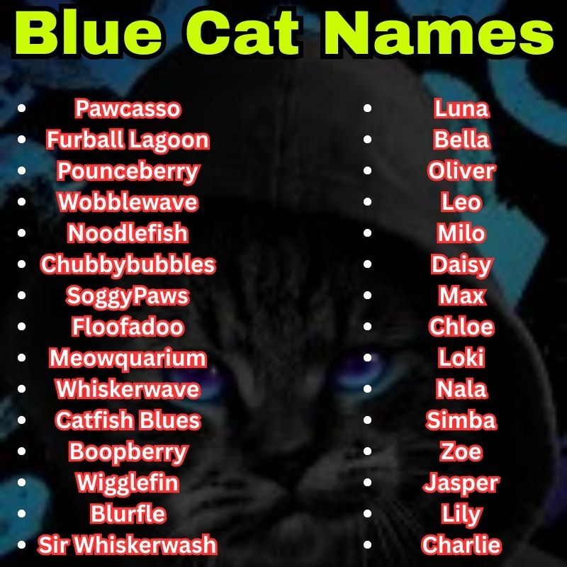Popular and funny Blue Cat Names