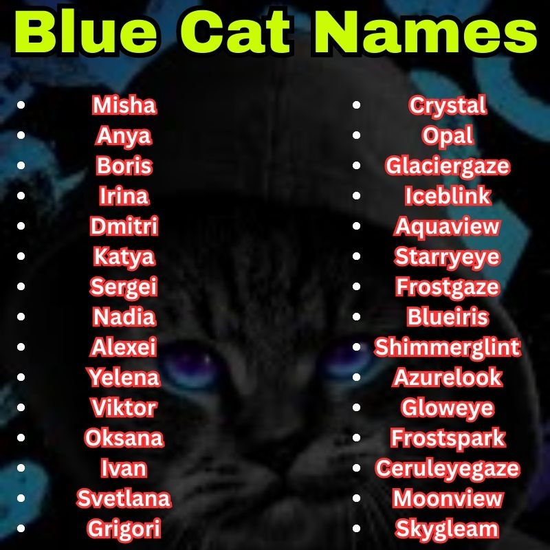 Blue-Eyed Cat Names