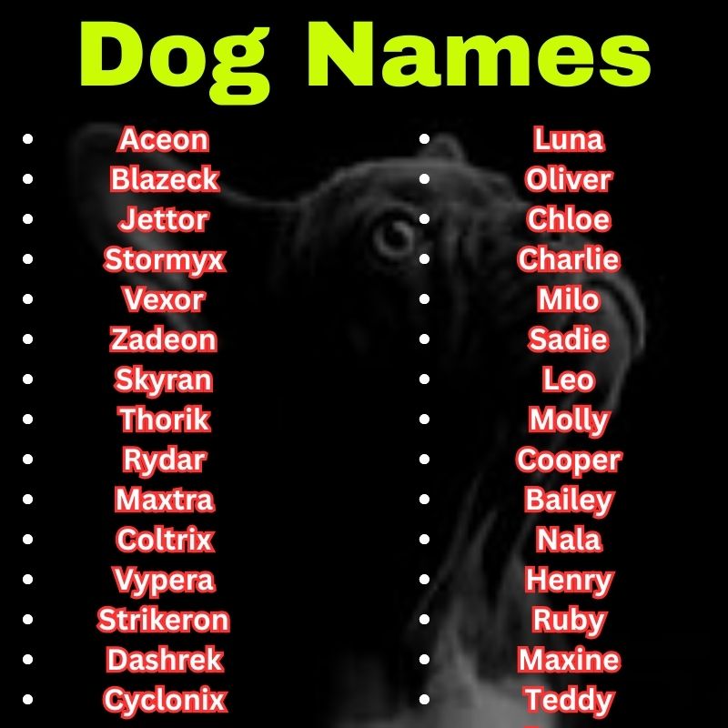 Popular and cool Dog Names
