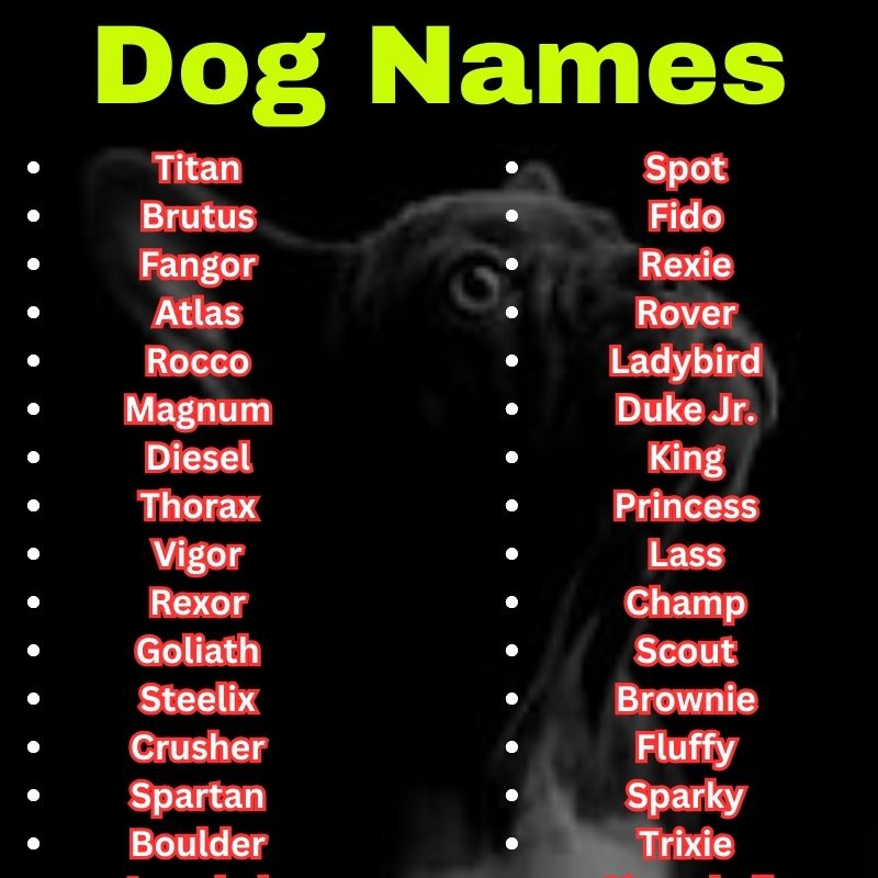 Classic and strong Dog Names