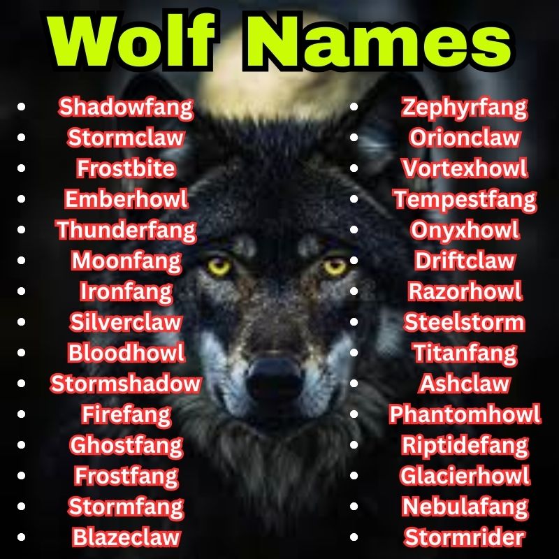 Best and cool Wolf Names