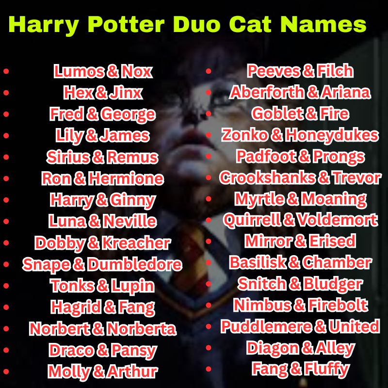 Harry Potter Duo Cat Names