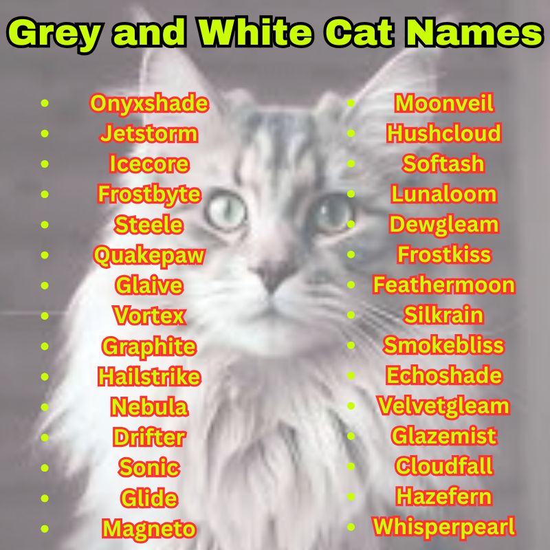 Aesthetic Grey and White Cat Names