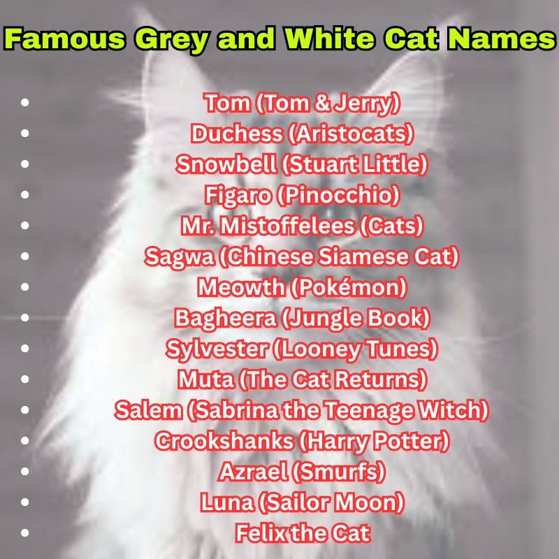 Famous Grey and White Cat Names