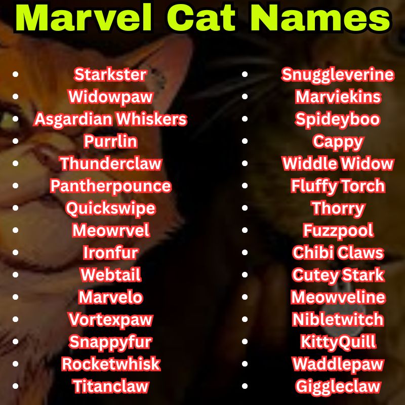 Cute Marvel Cat Names
