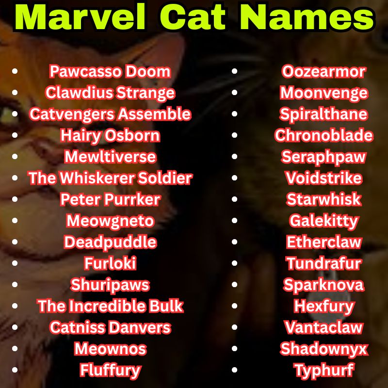 Funny Marvel Cat Names