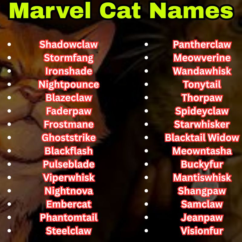 Marvel Cat Names Based on Superheroes