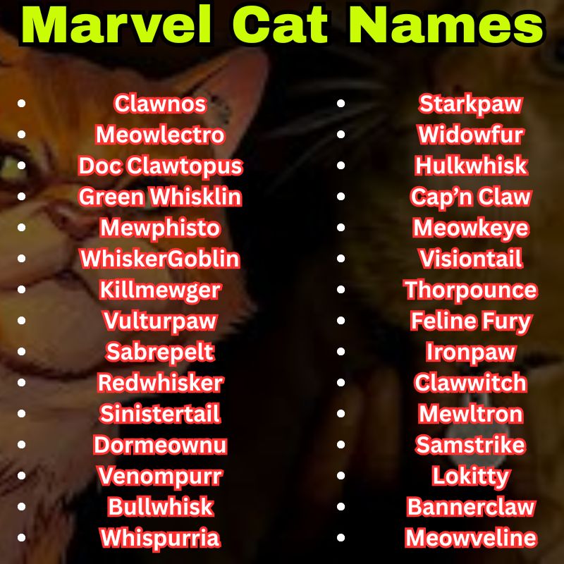 Marvel Cat Names Based on Villains  and Avengers