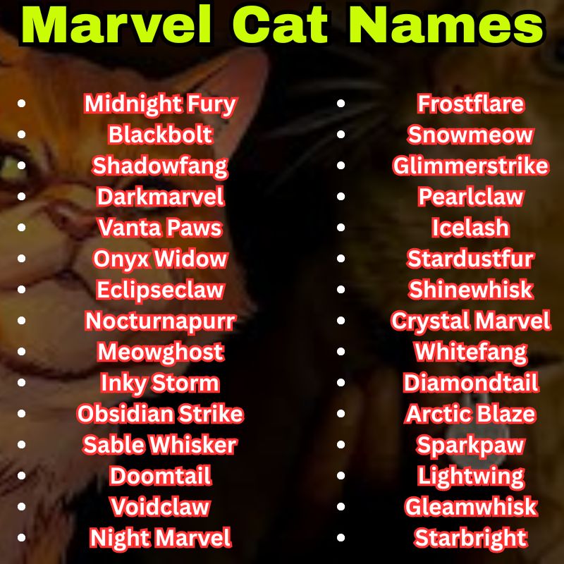 Marvel Cat Names for black and White Cats
