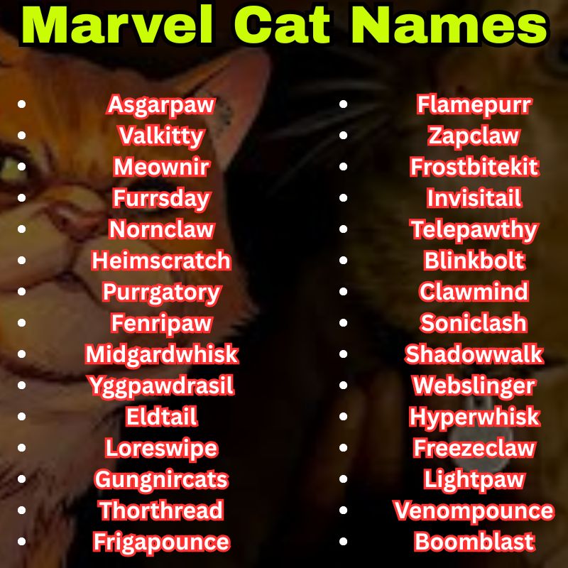 Marvel Cat Names Inspired by Powers