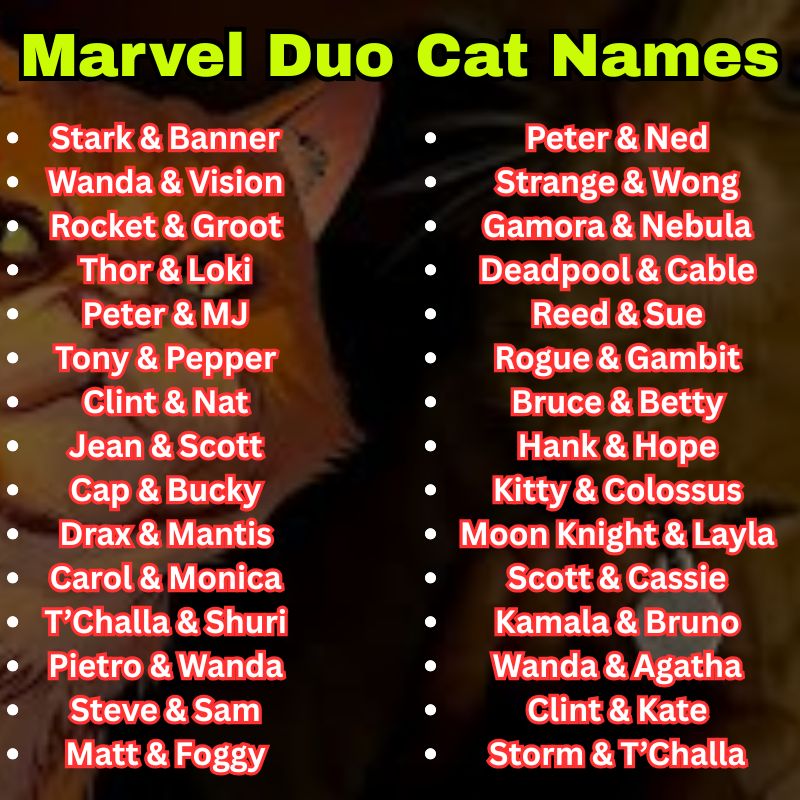 Marvel Duo Cat Names
