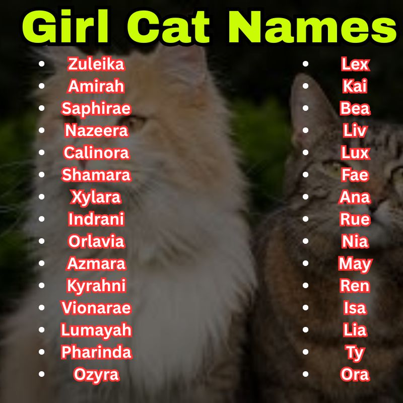 Exotic and short Girl Cat Names