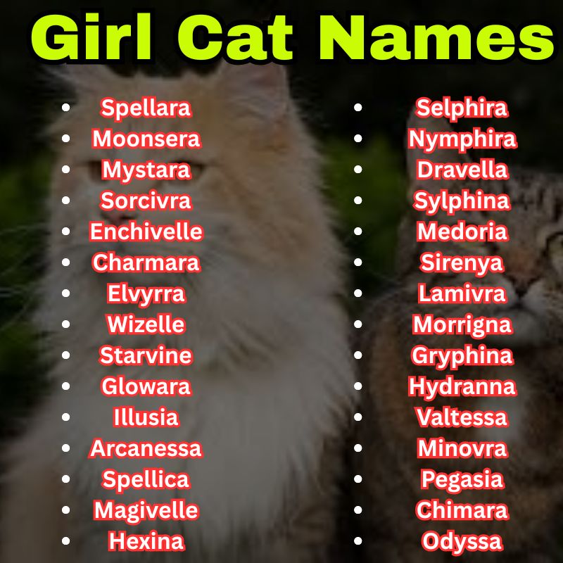 Mythical Girl Cat Names