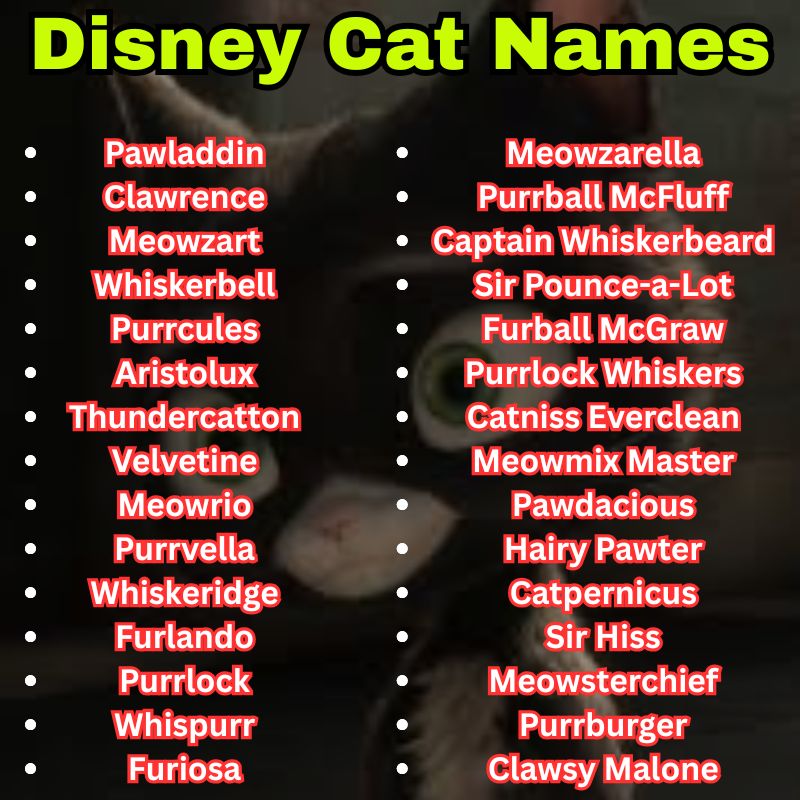 Unique and funny Disney Cat Names