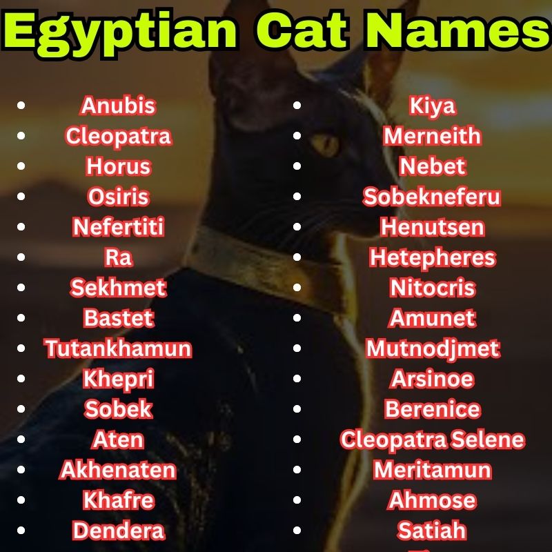 Unique Egyptian Cat Names