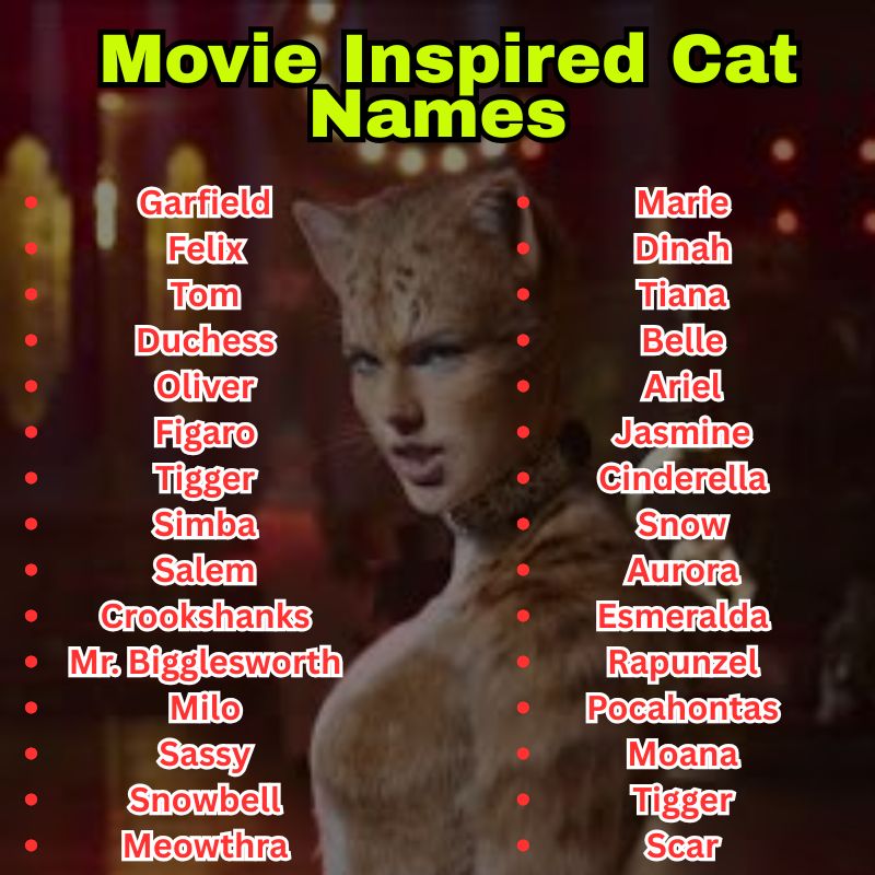 Movie Inspired Cat Names
