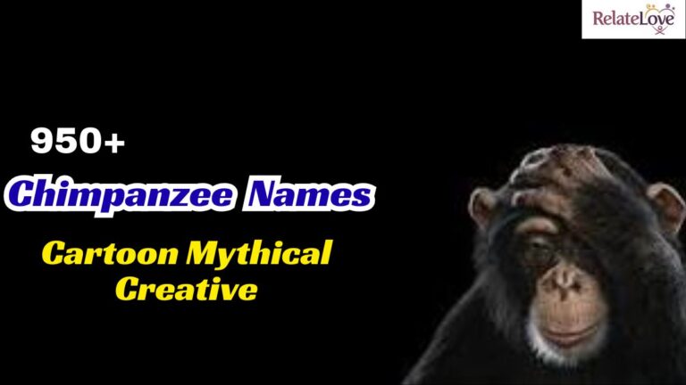 950+ Chimpanzee Names Cartoon Mythical Creative List 950+ Chimpanzee Names Cartoon Mythical Creative List