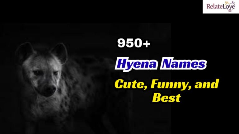 950+ Cute, Funny, and Best Hyena Names Ideas List