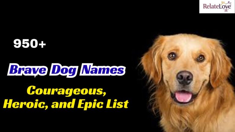950+Brave Dog Names: Courageous, Heroic, and Epic List