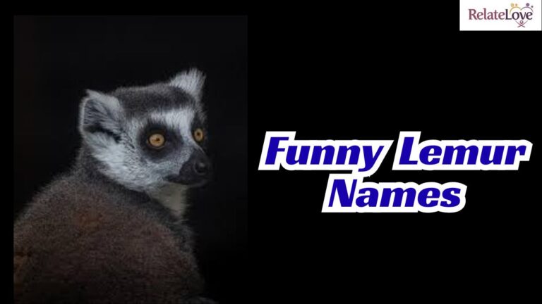 850+ Best Cute Funny Lemur Names That Make You Smile