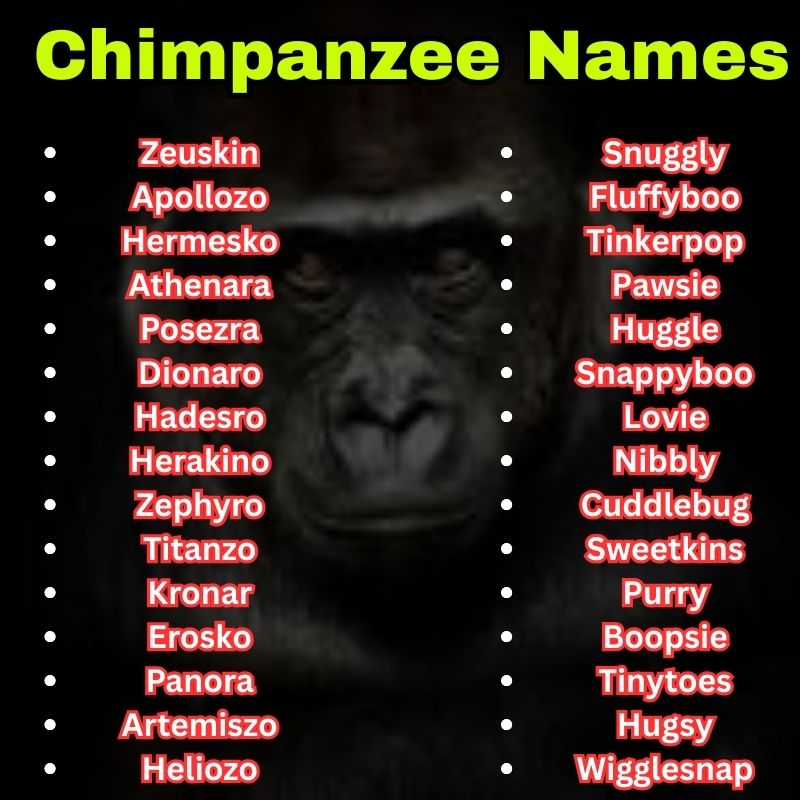 Mythical and Pet Chimpanzee Names